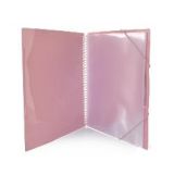 Carpeta de 20 fundas espiral 360º surtido Blush