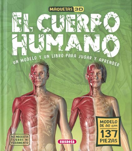 EL CUERPO HUMANO